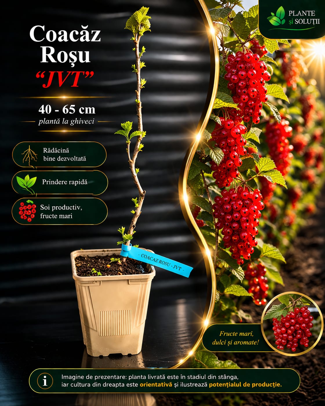 WhatsApp Image 2026-04-08 at 20.21.08 (3)