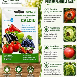 Calciu – fertilizant 100% solubil în apa