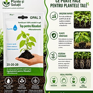Ingrasamant Top pentru Răsaduri + Microelemente 20-20-20 – start perfect pentru plante sănătoase!