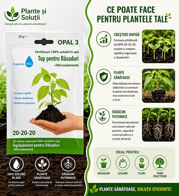 Ingrasamant Top pentru Răsaduri + Microelemente 20-20-20 – start perfect pentru plante sănătoase!