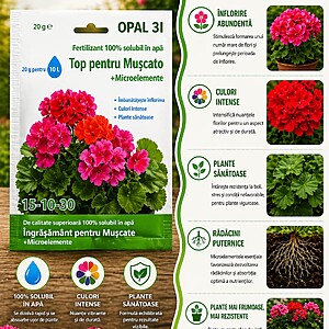 Ingrasamant  Top pentru Muscate + Microelemente 15-10-30 – fertilizant pentru flori spectaculoase!